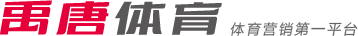 在总决赛中